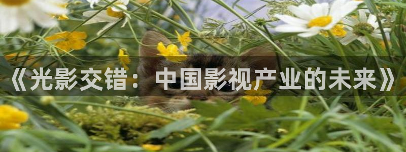 茄子视频无限看丝瓜视频丝瓜视免费观看