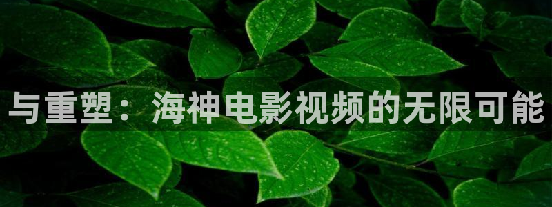 四虎茄子视频