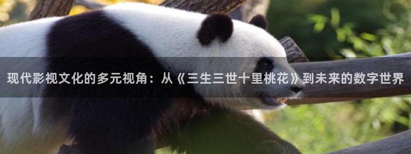 四虎茄子视频
