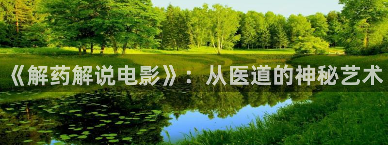 茄子视频视频