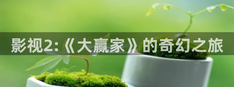 茄子视频www