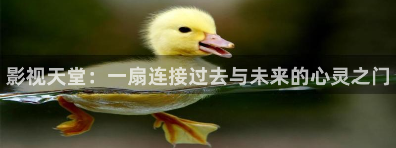 qiezi茄子视频