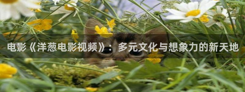 樱花视频茄子视频