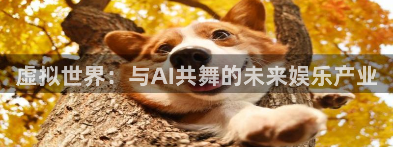 91茄子视频