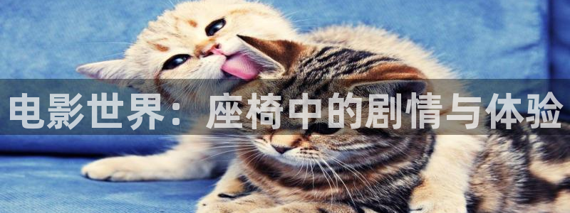 樱桃茄子视频