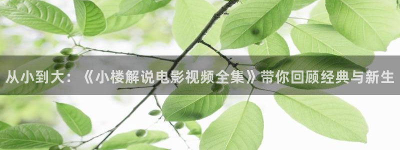 茄子视频www