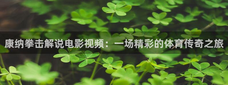 茄子视频a