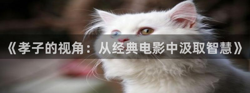 大茄子视频