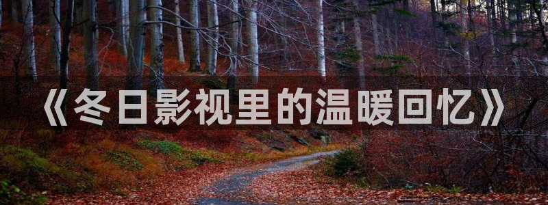 茄子视频了