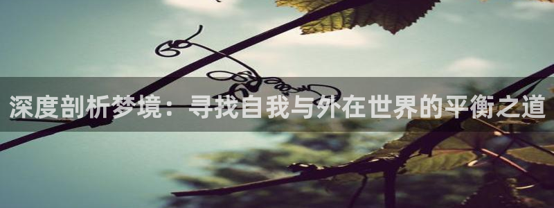 茄子视频视频