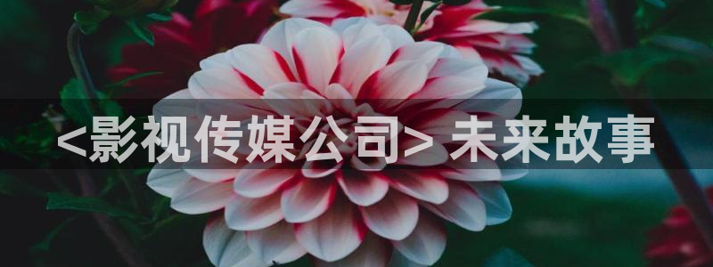 小优视频茄子视频