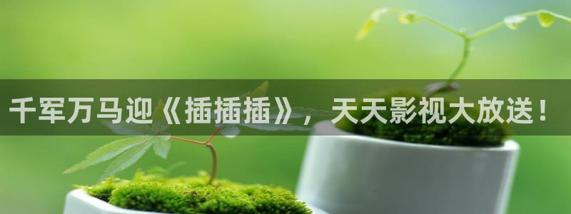 茄子视频?