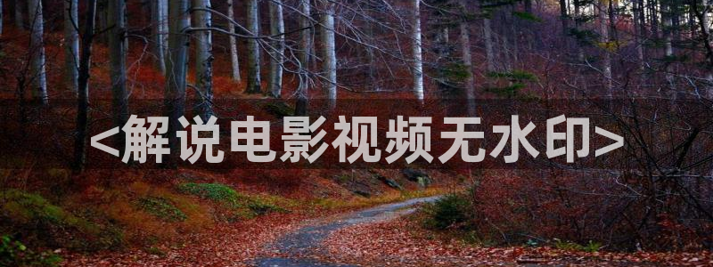 茄子视频一