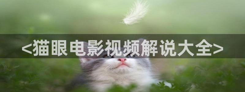 茄子视频www