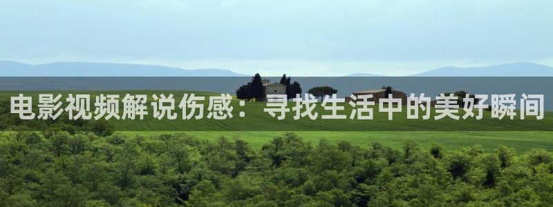 茄子视频