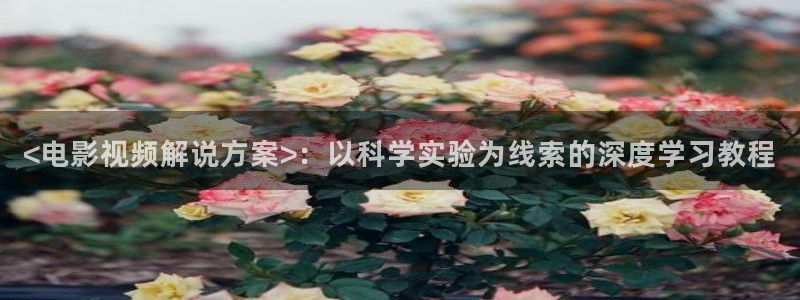 茄子视频色版