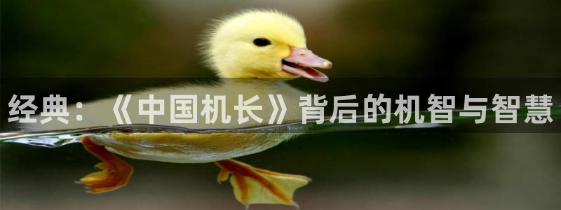 茄子视频视频
