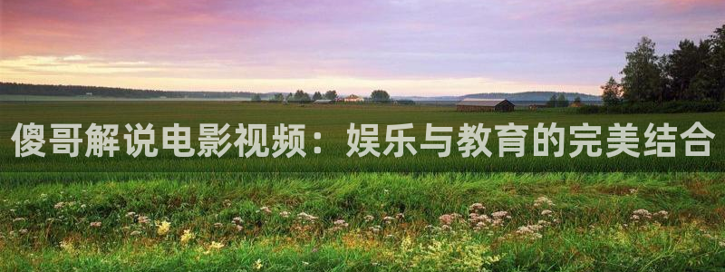 qiezi茄子视频：傻哥解说电影视频：娱乐与教育的完美结合