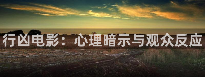 茄子视频一：行凶电影：心理暗示与观众反应