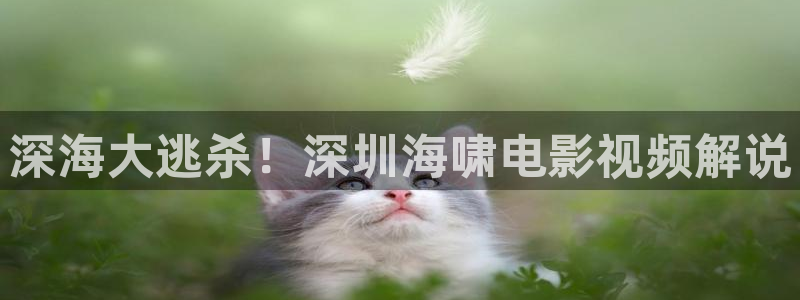 丝瓜茄子视频在线观看：深海大逃杀！深圳海啸电影视频解说