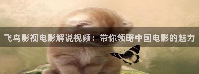 茄子视频色版：飞鸟影视电影解说视频：带你领略中国电影的魅力