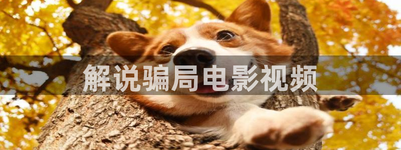 茄子视频18：解说骗局电影视频