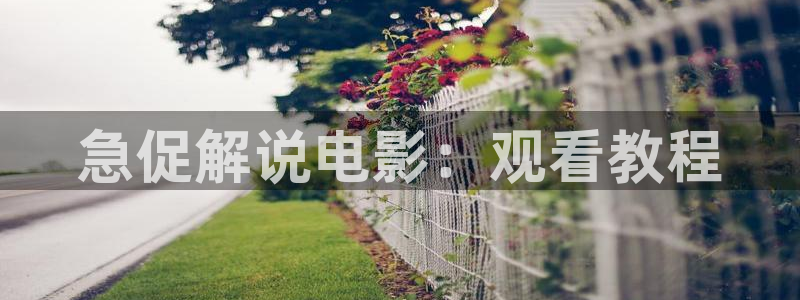 茄子视频视频：急促解说电影：观看教程