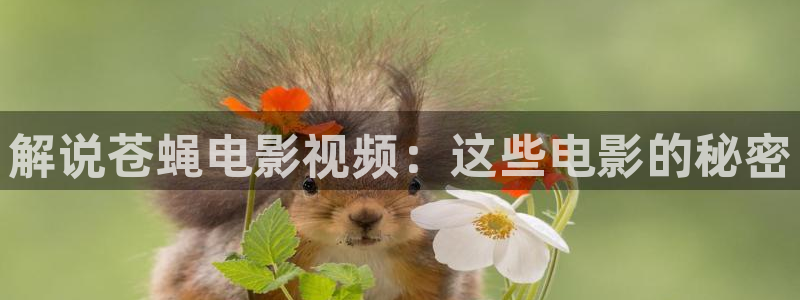 qiezi茄子视频：解说苍蝇电影视频：这些电影的秘密
