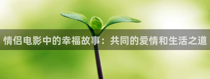 茄子视频色版：情侣电影中的幸福故事：共同的爱情和生活之道