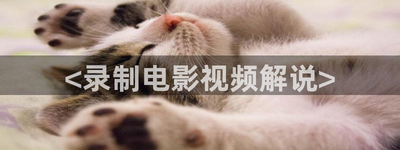 qiezi茄子视频：<录制电影视频解说>