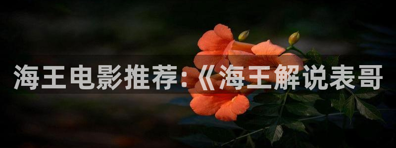 樱桃茄子视频：海王电影推荐:《海王解说表哥