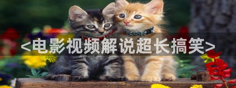 茄子视频一