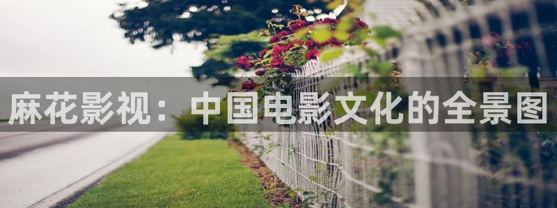 茄子视频视频：麻花影视：中国电影文化的全景图