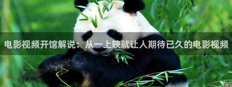 茄子视频18：电影视频开馆解说：从一上映就让人期待已久的电影视频