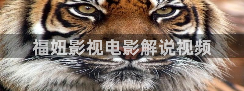 茄子视频色版：福妞影视电影解说视频