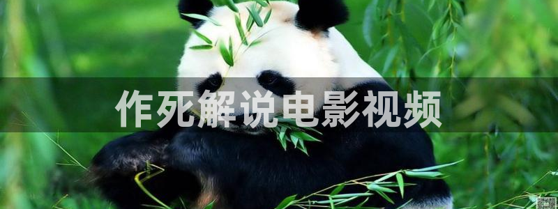 茄子视频了：作死解说电影视频