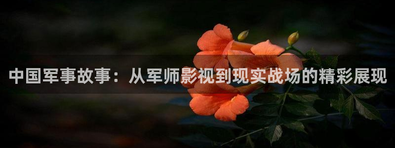 茄子视频18：中国军事故事：从军师影视到现实战场的精彩展现