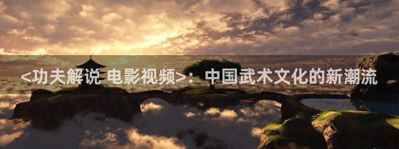 茄子视频?：<功夫解说 电影视频>：中国武术文化的新潮流