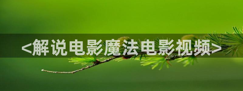 樱桃茄子视频：<解说电影魔法电影视频>