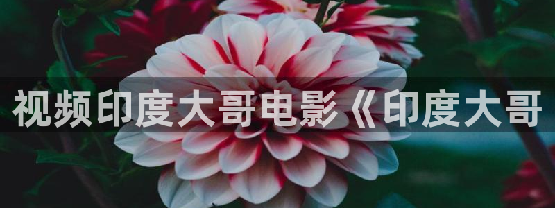 qiezi茄子视频：视频印度大哥电影《印度大哥