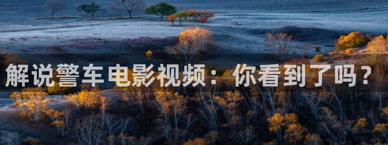 樱桃茄子视频：解说警车电影视频：你看到了吗？