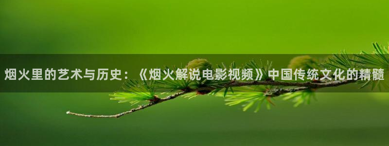 91茄子视频：烟火里的艺术与历史：《烟火解说电影视频》中国传统文化的精髓