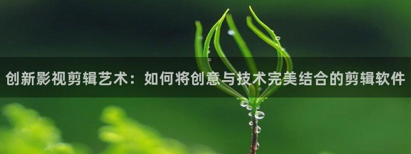 樱花视频茄子视频：创新影视剪辑艺术：如何将创意与技术完美结合的剪辑软件