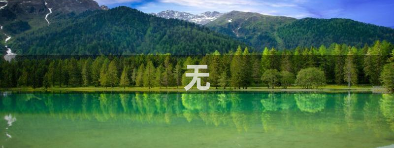 茄子视频www：无
