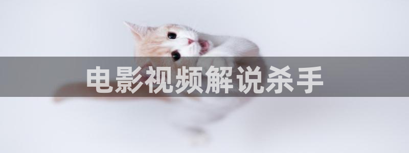 茄子视频www：电影视频解说杀手