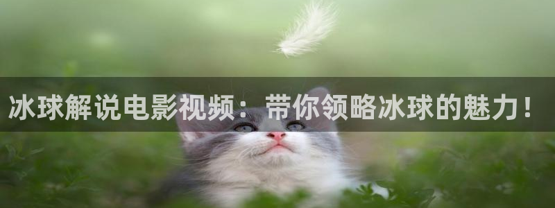 茄子视频18
