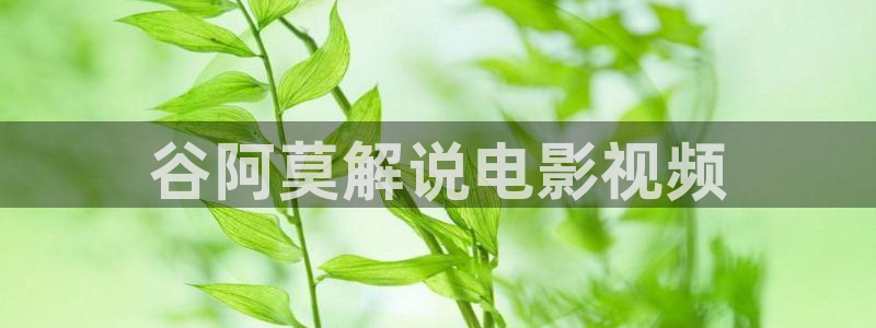 茄子视频18