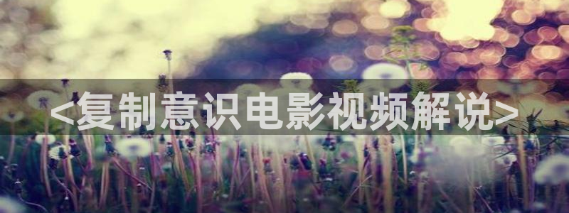 茄子视频色版