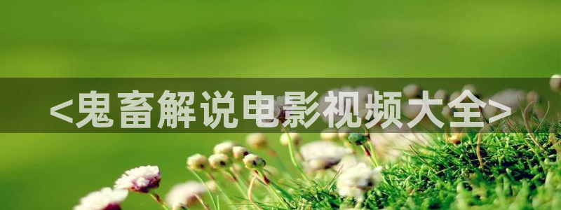 茄子视频了