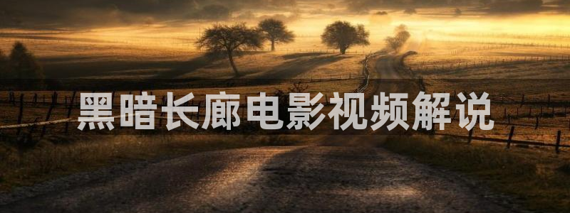 茄子视频一